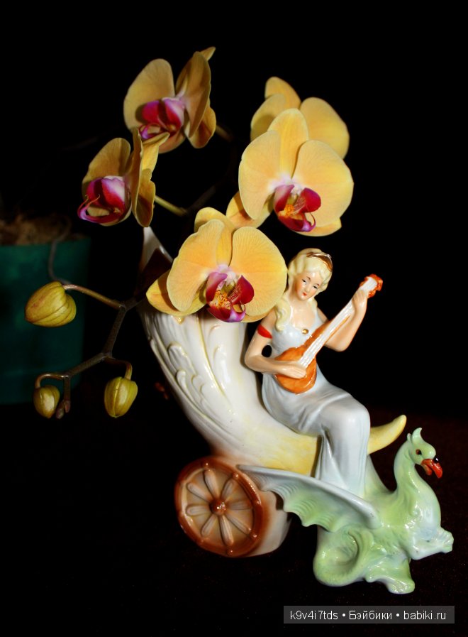 Магический цветок. Орхидеи | Бэйбики Магический цветок. Орхидеи