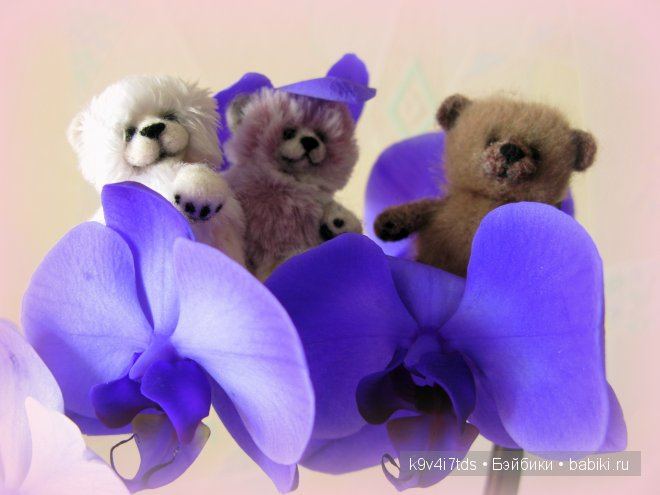 Магический цветок. Орхидеи | Бэйбики Магический цветок. Орхидеи