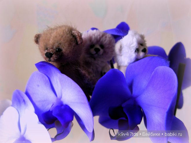 Магический цветок. Орхидеи | Бэйбики Магический цветок. Орхидеи