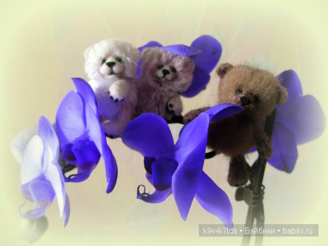 Магический цветок. Орхидеи | Бэйбики Магический цветок. Орхидеи