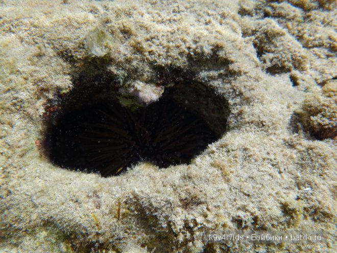красное море красное море