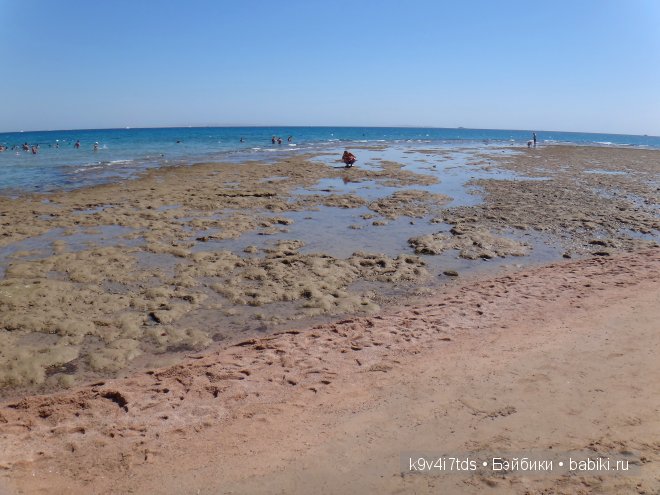 красное море красное море