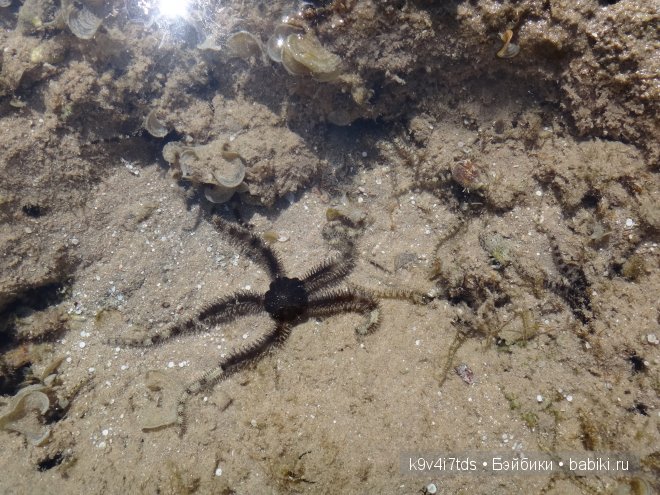 красное море красное море