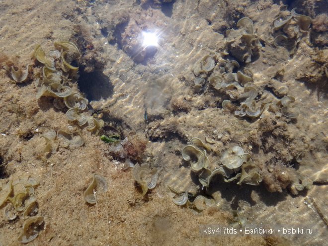 красное море красное море