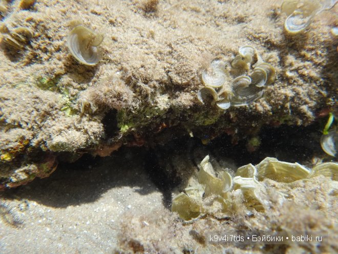 красное море красное море