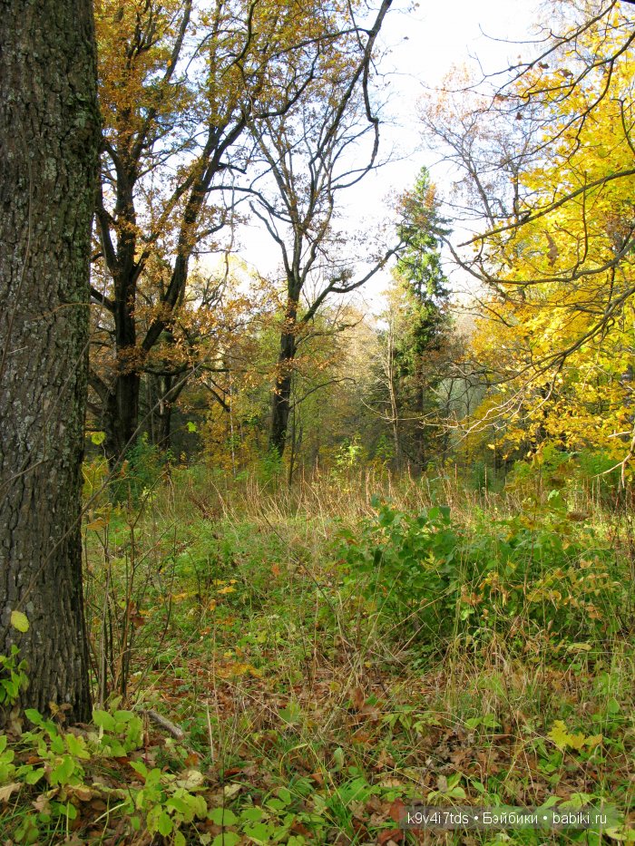 путешествия