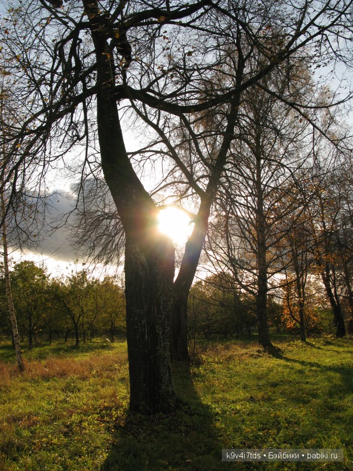 путешествия