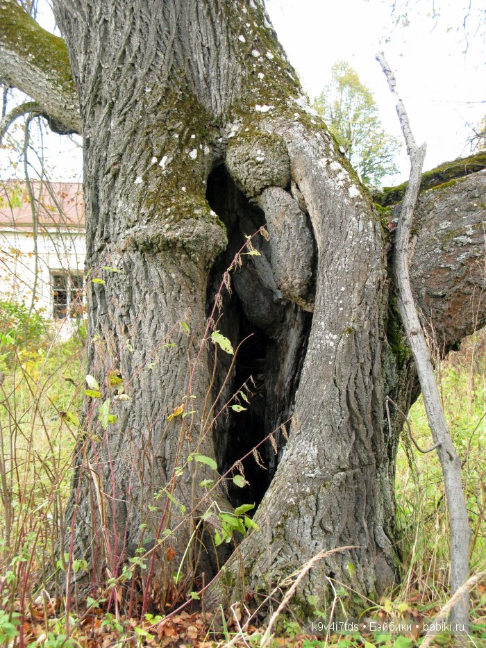 путешествия