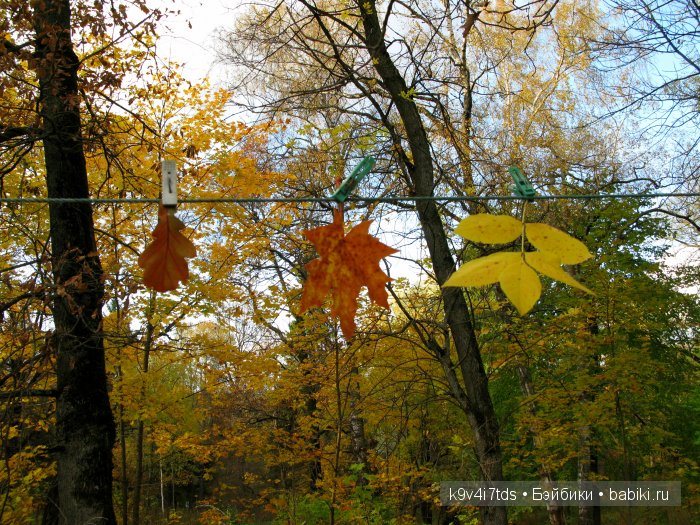 путешествия