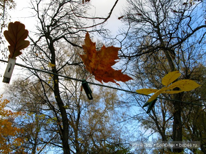 путешествия