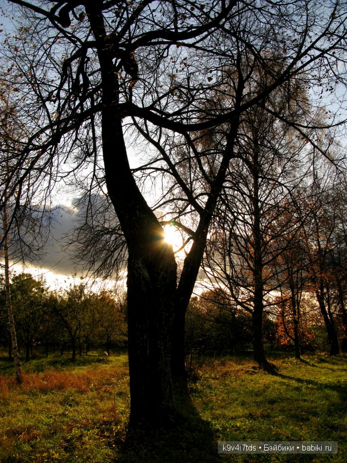 путешествия