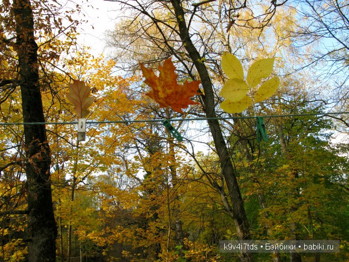 путешествия