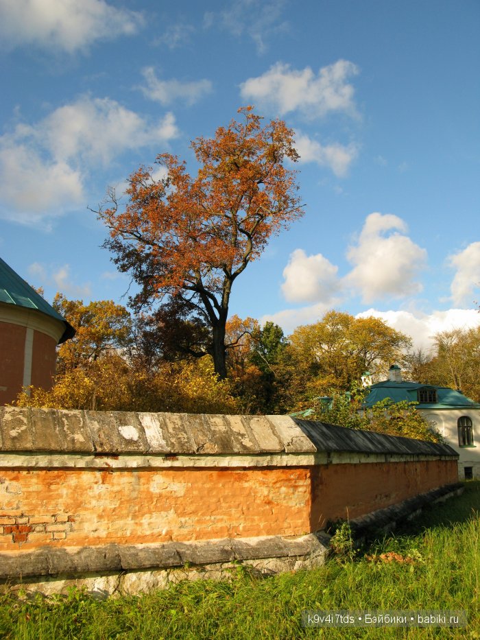 путешествия