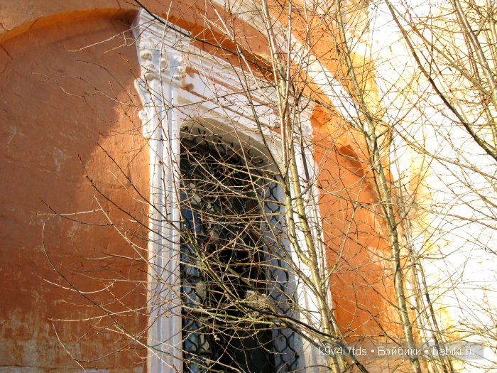 путешествия