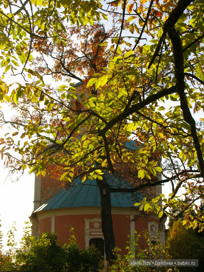 путешествия