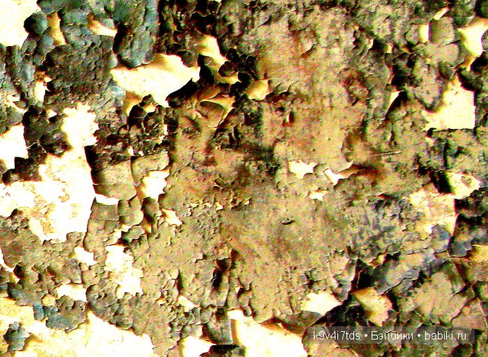 путешествия