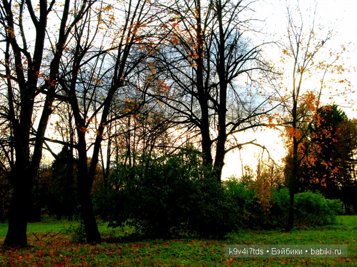 путешествия