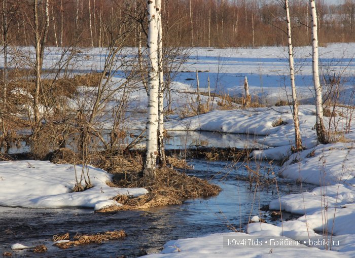 Весна идёт - весне дорогу! Бонус: фото солнечного затмения 2015. LittleFee Bonnie от Fairyland (фото 4)