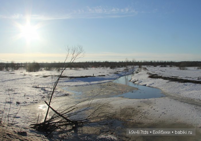 Весна идёт - весне дорогу! Бонус: фото солнечного затмения 2015. LittleFee Bonnie от Fairyland (фото 3)