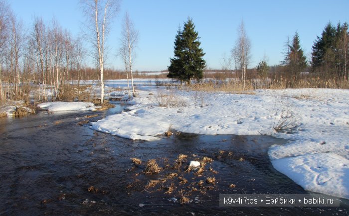 Весна идёт - весне дорогу! Бонус: фото солнечного затмения 2015. LittleFee Bonnie от Fairyland