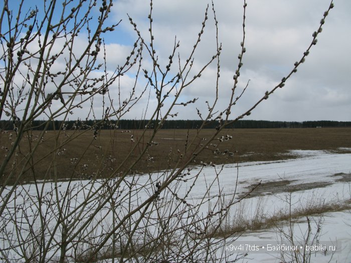 Весна идёт - весне дорогу! Бонус: фото солнечного затмения 2015. LittleFee Bonnie от Fairyland