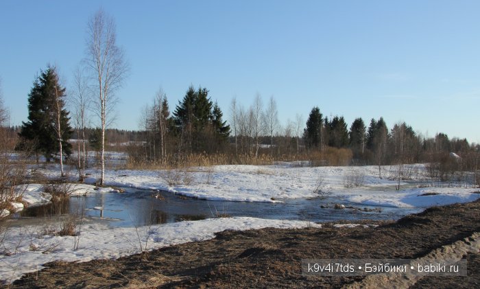 Весна идёт - весне дорогу! Бонус: фото солнечного затмения 2015. LittleFee Bonnie от Fairyland (фото 2)