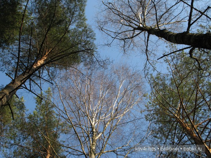 Весна в лесу. LittleFee Bonnie от Fairyland | Бэйбики Весна в лесу. LittleFee Bonnie от Fairyland