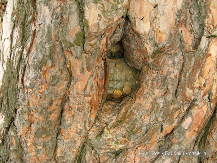 По дороге в Старицу. Иваниши, Церковь Успения Пресвятой Богородицы. Часть вторая