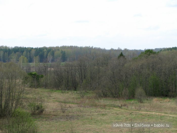 По дороге в Старицу. Иваниши, Церковь Успения Пресвятой Богородицы. Часть вторая