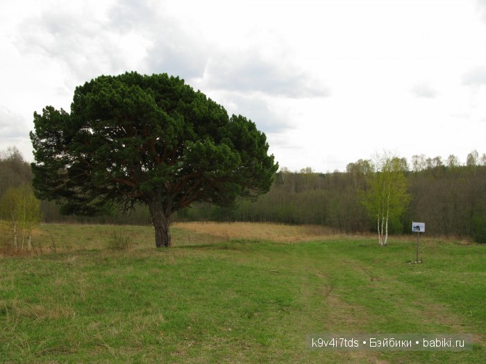 По дороге в Старицу. Иваниши, Церковь Успения Пресвятой Богородицы. Часть вторая
