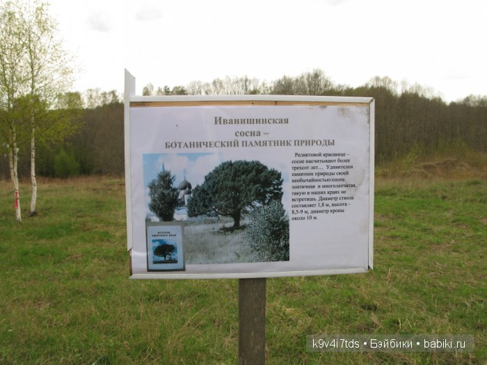 По дороге в Старицу. Иваниши, Церковь Успения Пресвятой Богородицы. Часть вторая
