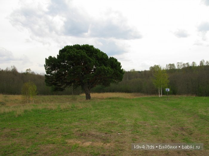 По дороге в Старицу. Иваниши, Церковь Успения Пресвятой Богородицы. Часть вторая