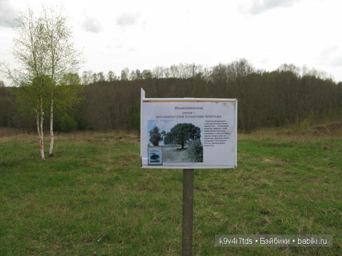 По дороге в Старицу. Иваниши, Церковь Успения Пресвятой Богородицы. Часть вторая