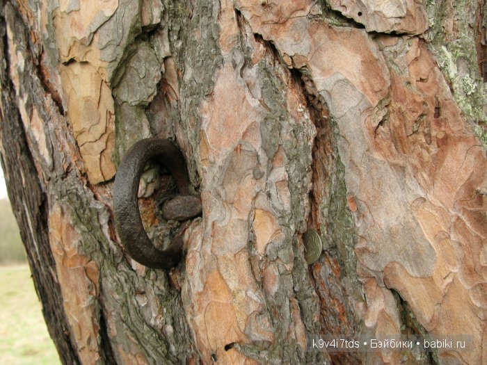 По дороге в Старицу. Иваниши, Церковь Успения Пресвятой Богородицы. Часть вторая