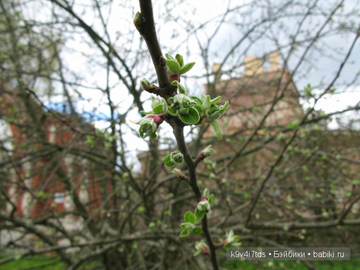 По пути в Берново — Туризм и путешествия: фотоотчеты из поездок