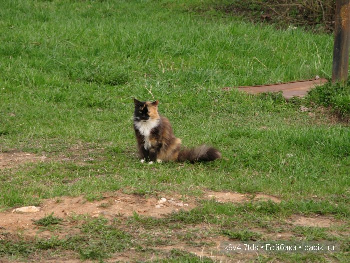 По пути в Берново — Туризм и путешествия: фотоотчеты из поездок