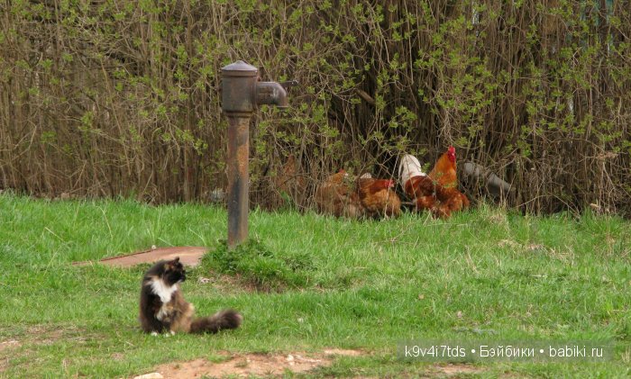 По пути в Берново — Туризм и путешествия: фотоотчеты из поездок