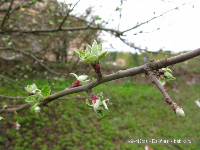 По пути в Берново — Туризм и путешествия: фотоотчеты из поездок