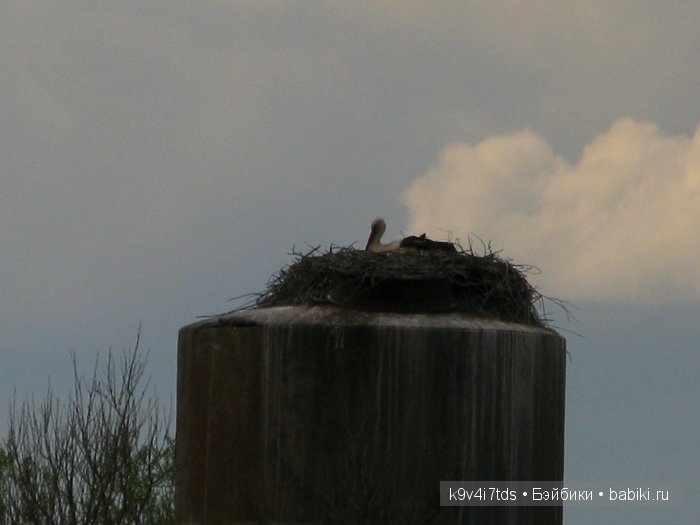 По пути в Берново — Туризм и путешествия: фотоотчеты из поездок