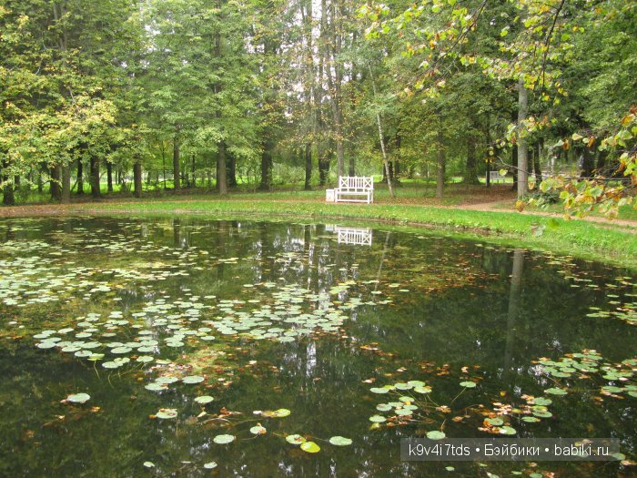 Берново. Armand Marseille