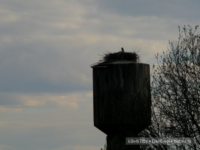 Берново. Armand Marseille