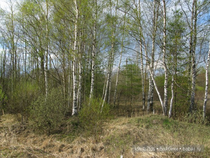 Берново. Armand Marseille