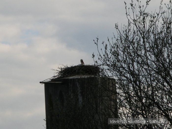 Берново. Armand Marseille