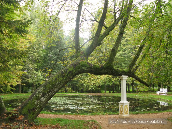 Берново. Armand Marseille