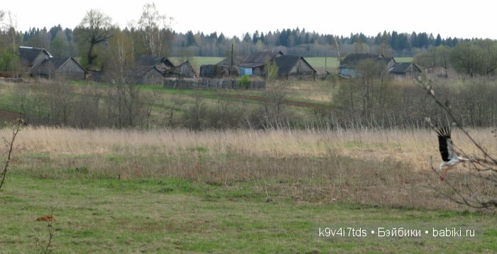 Берново. Armand Marseille