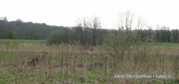 Берново. Armand Marseille