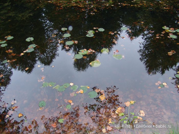 Берново. Armand Marseille