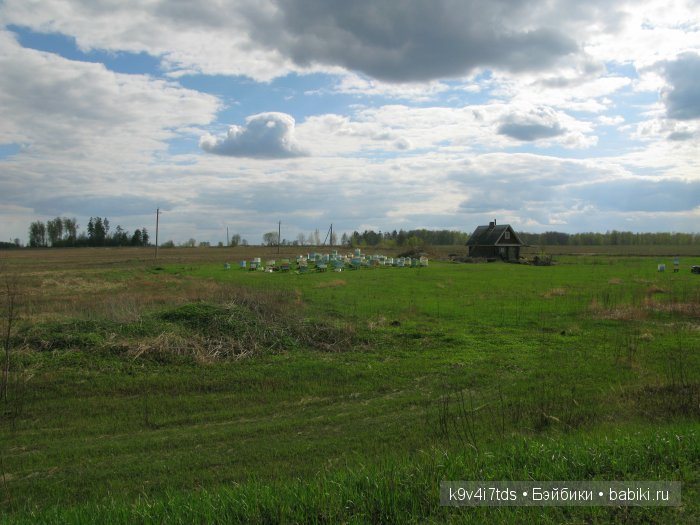Берново. Armand Marseille (фото 5)