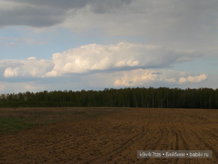 Берново. Armand Marseille (фото 10)