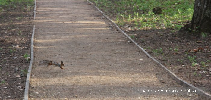 Берново. Armand Marseille